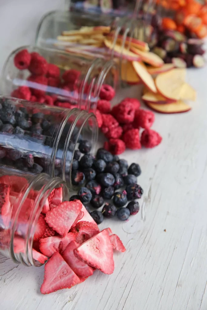 Lyophilisateur Maison HarvestRight - Freezedryer - Lyophilisation